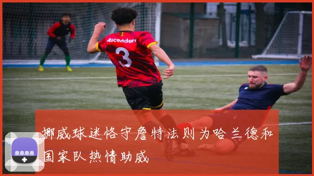 挪威球迷恪守詹特法则为哈兰德和国家队热情助威