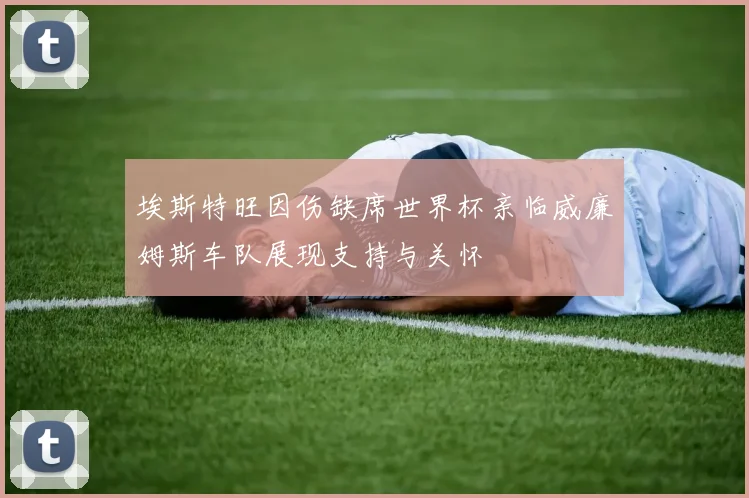 埃斯特旺因伤缺席世界杯亲临威廉姆斯车队展现支持与关怀